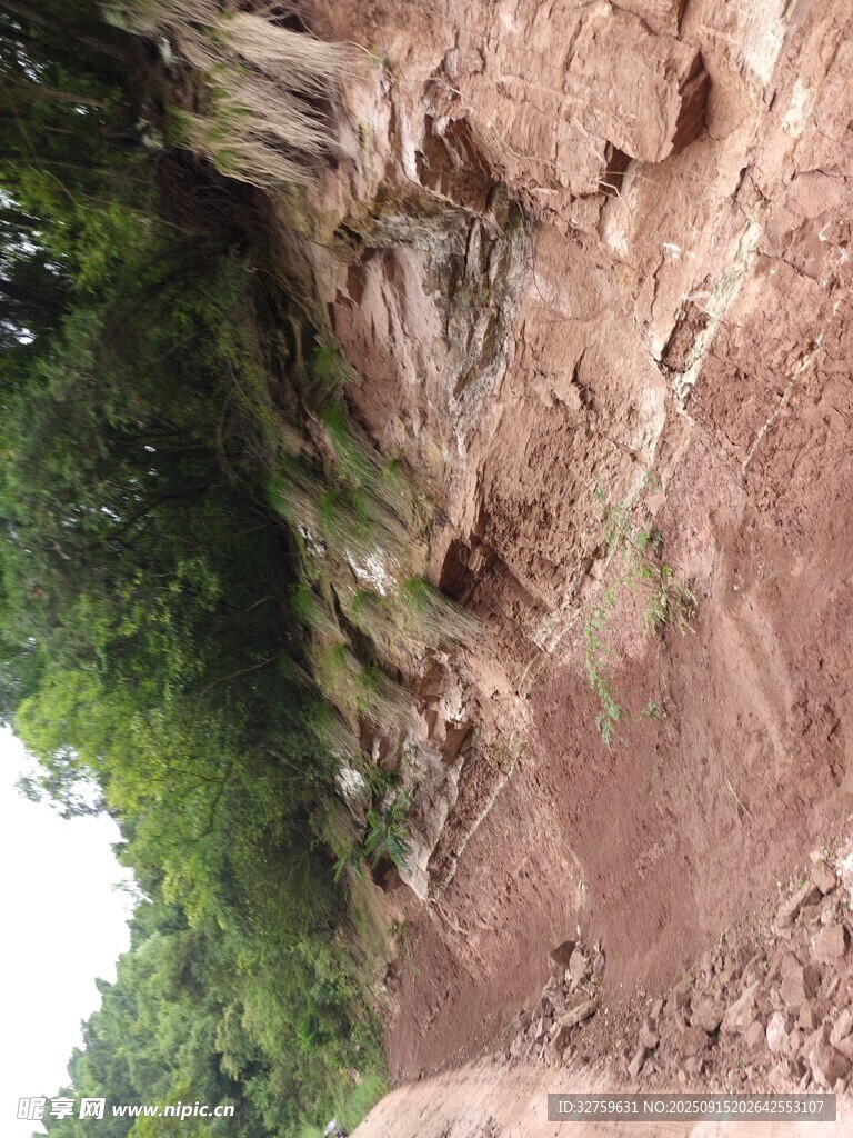 巖石上的綠植景觀