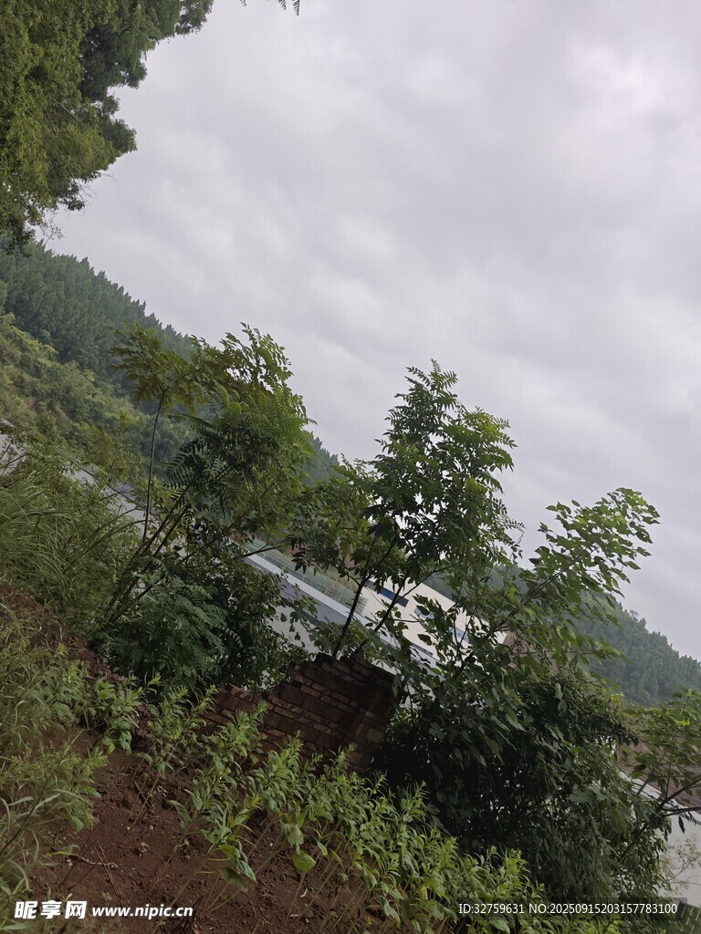 山間綠植與朦朧天空景色