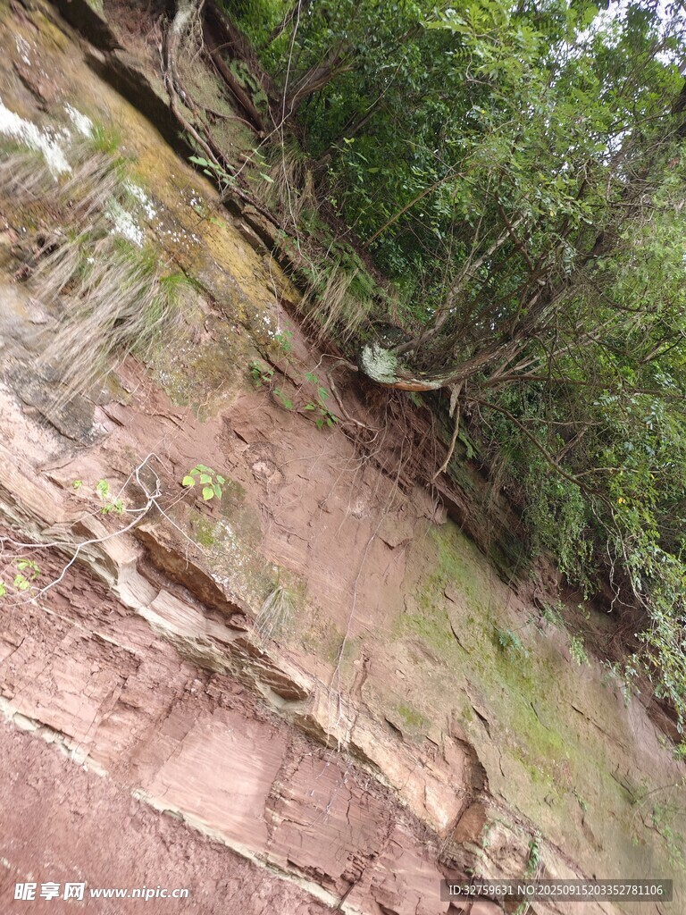 山間巖石與綠植景觀