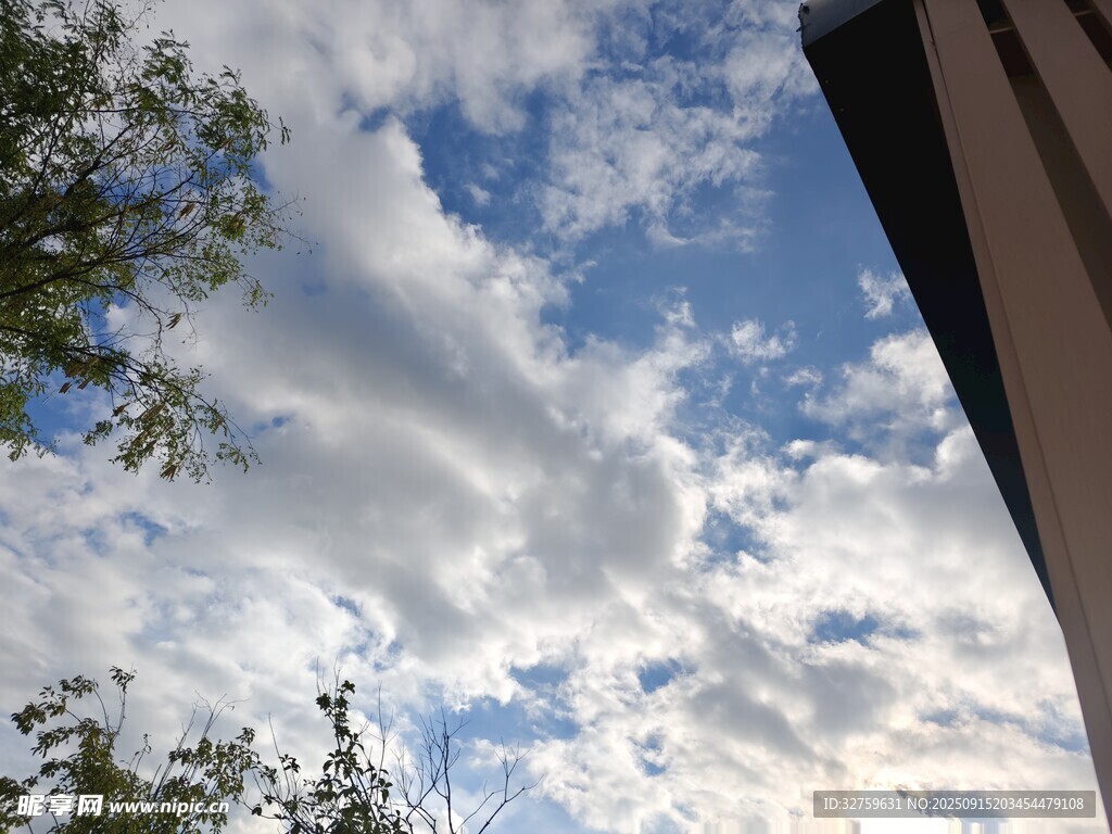 藍天綠樹間的屋頂天空景