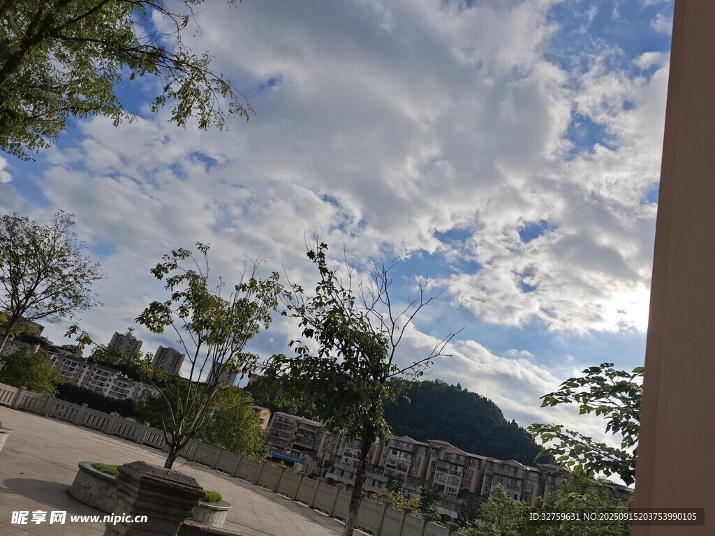 戶外庭院藍天白云綠樹景