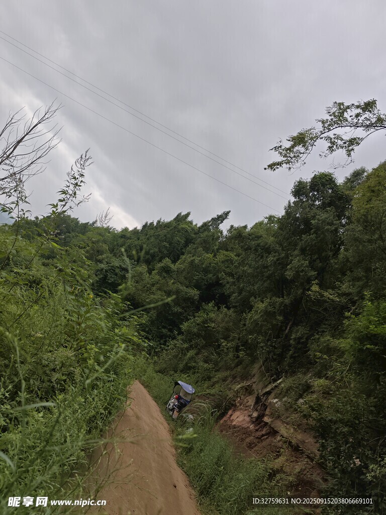 山間泥濘小徑 