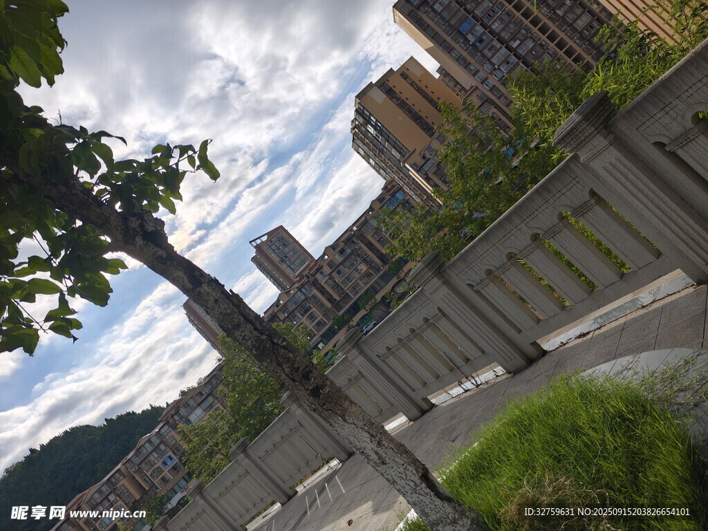 城市街道旁的綠植與建筑