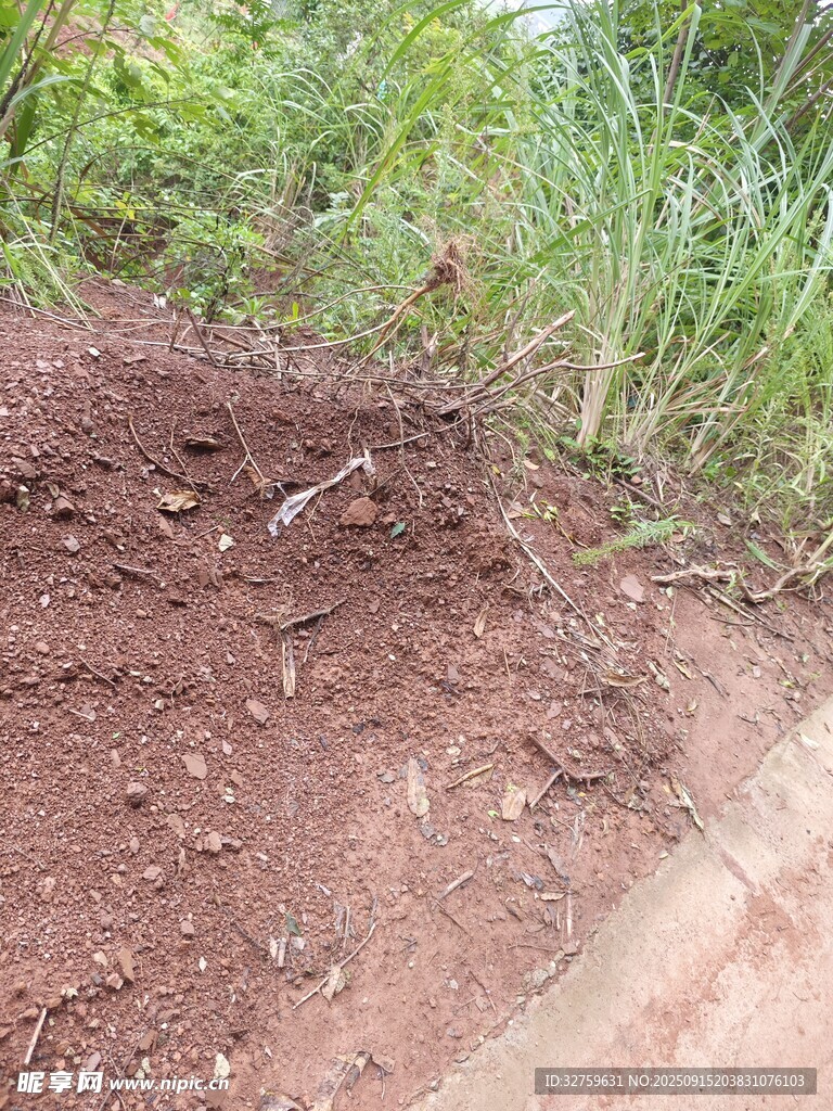 戶外泥土與綠植場景