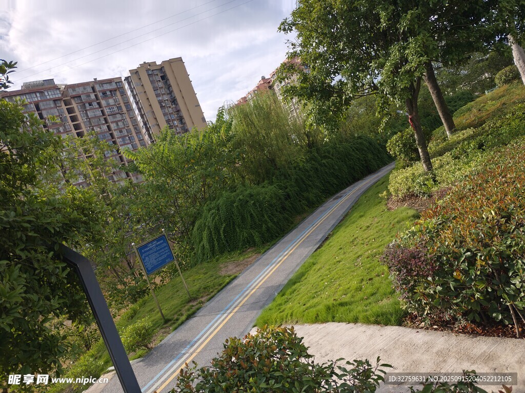 城市中的靜謐林蔭步道