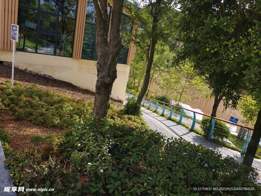 校園綠植景觀一角