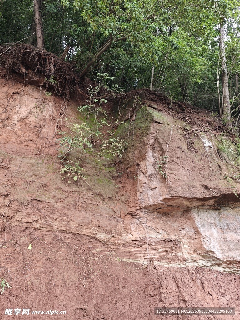 山坡上的巖石與綠植