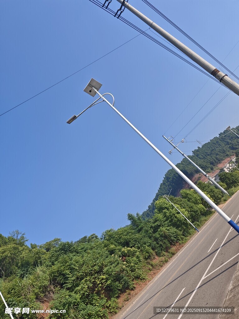 公路旁的路燈與蔥郁綠植