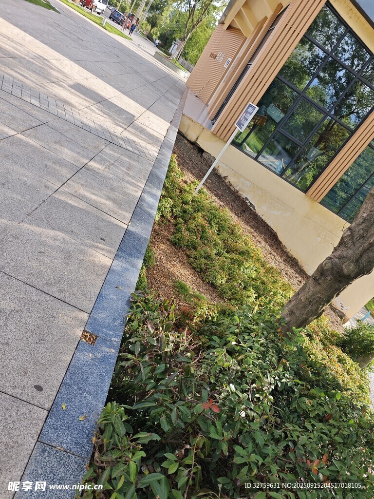 城市人行道旁的綠植景觀