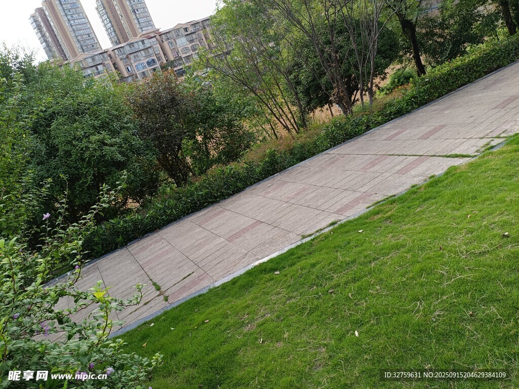 城市中的綠地與步道景觀