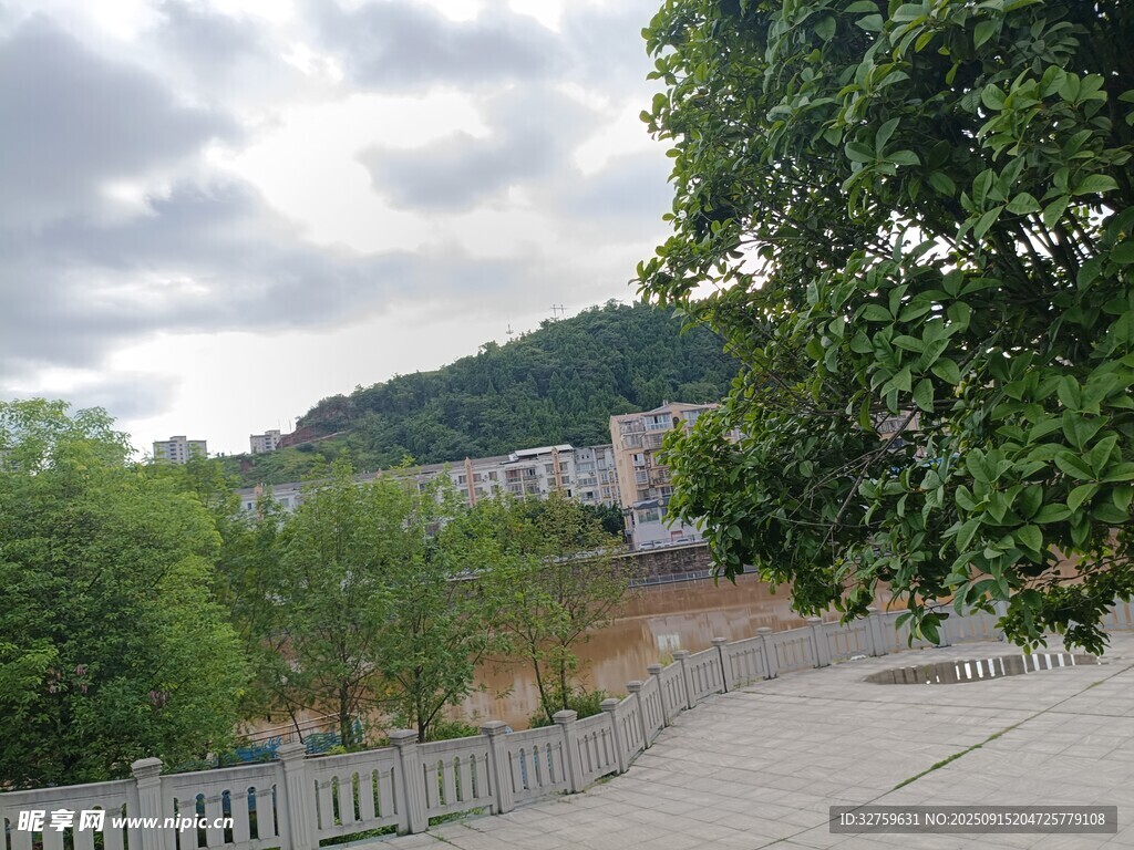 校園外的林蔭小道風(fēng)景