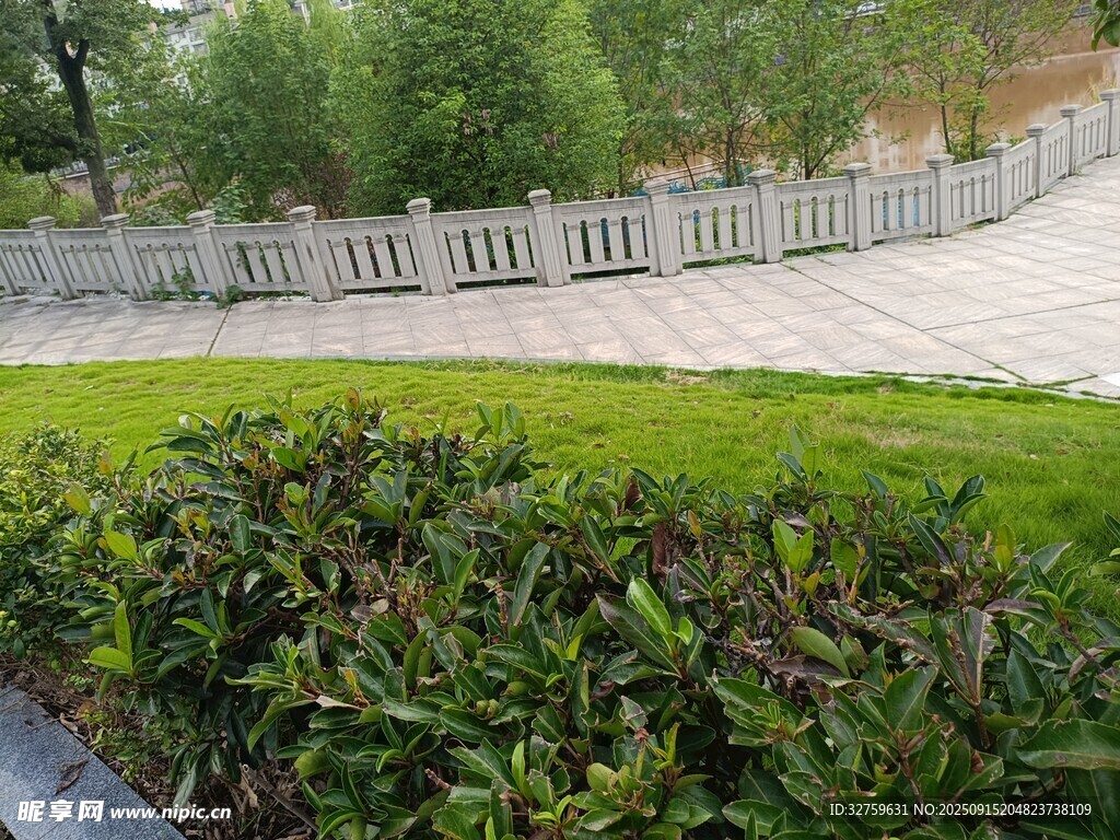 庭院綠植與圍欄景觀