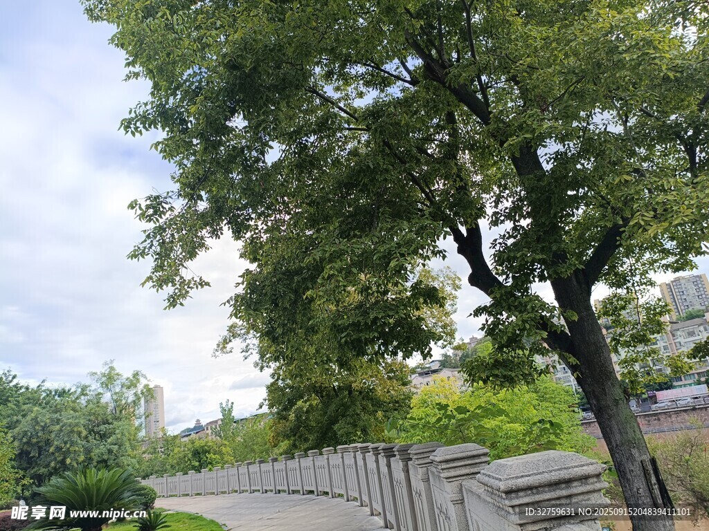 公園綠蔭下的休閑小徑