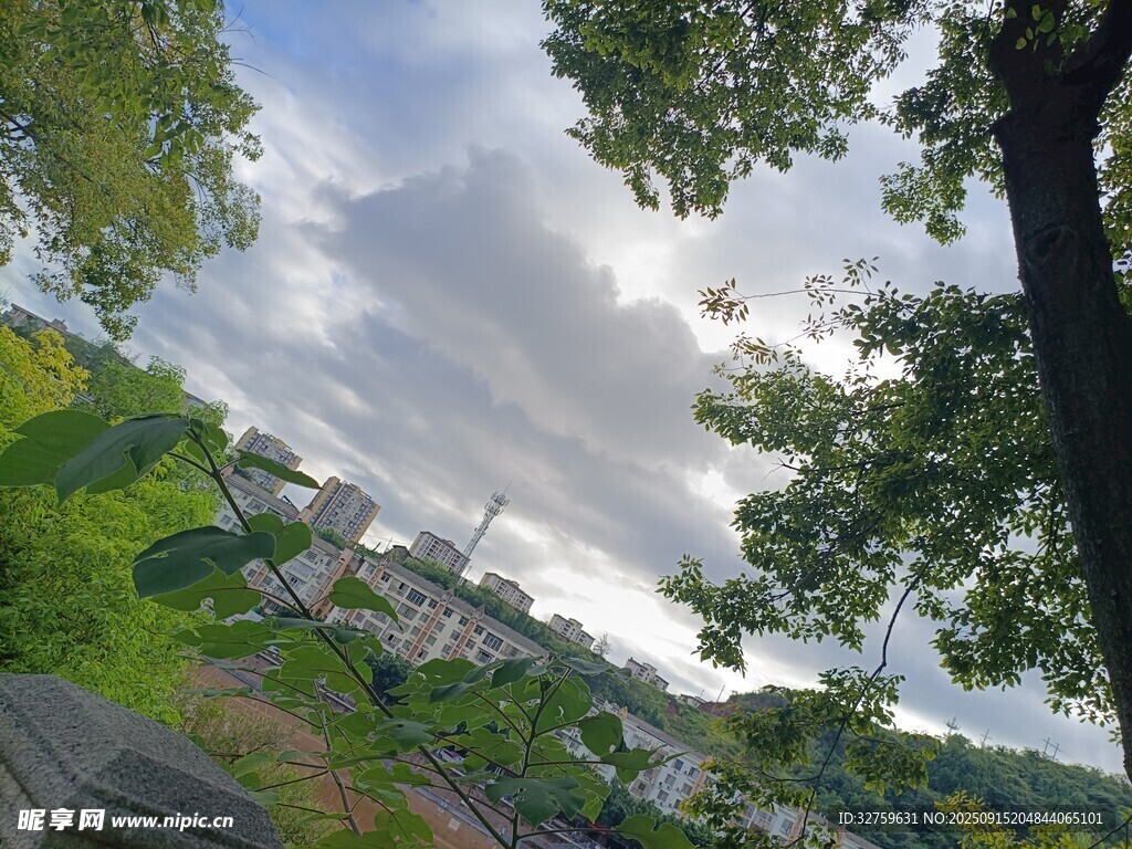 綠樹掩映下的城市天際線