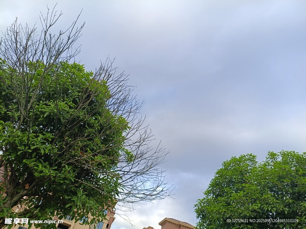 綠樹藍天間的自然景致