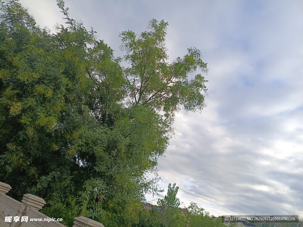 綠樹藍(lán)天間的自然景致