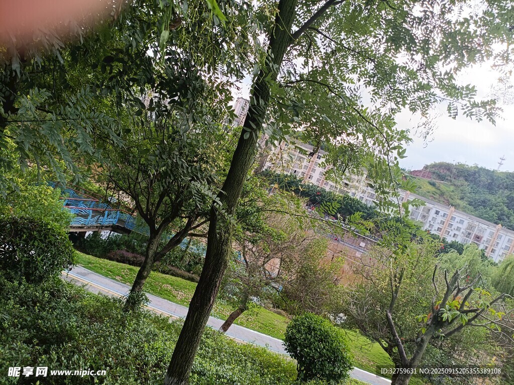 俯瞰綠意盎然的戶外景致