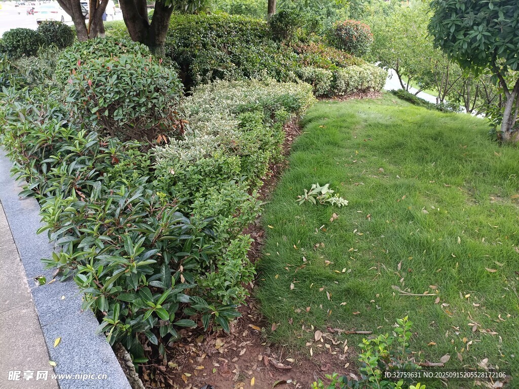 庭院綠植景觀一角