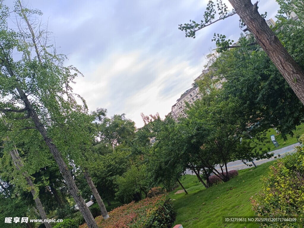 城市中的綠意盎然景致