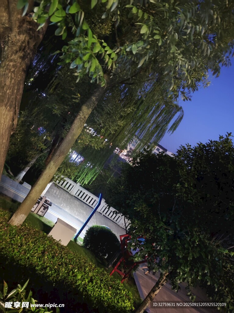 公園林蔭下的靜謐景致