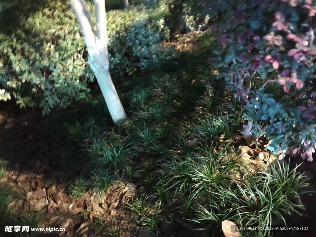 綠植景觀中的白色物件