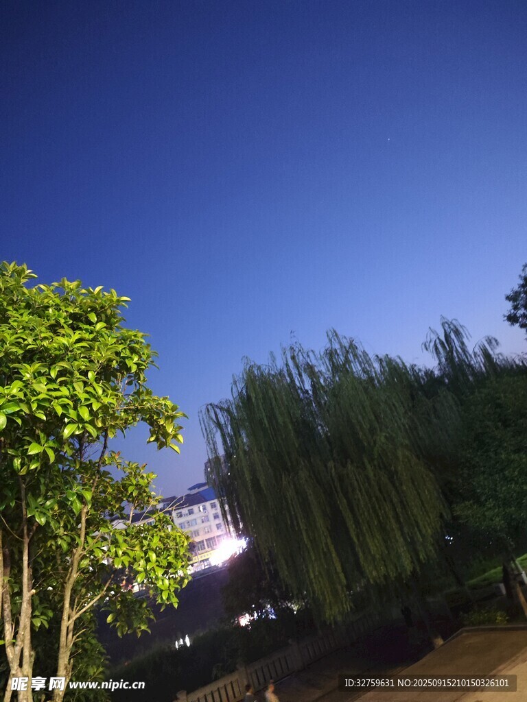 藍天綠樹間的靜謐景致