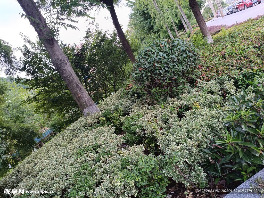 戶外綠植景觀一角