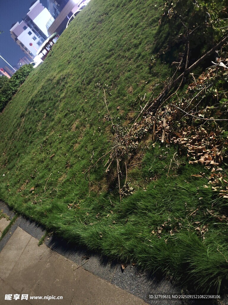 垂直綠植墻景觀