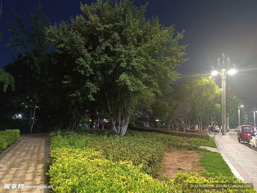 夜晚公園的靜謐景致