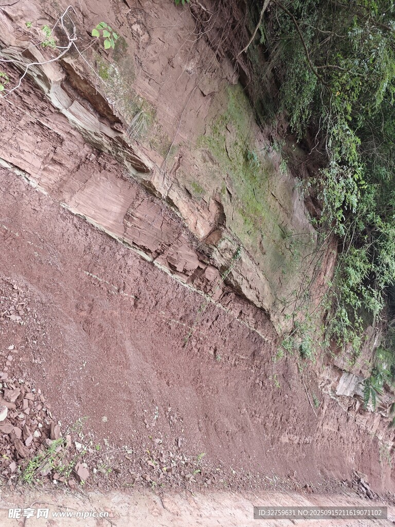 山坡上的巖石與植被
