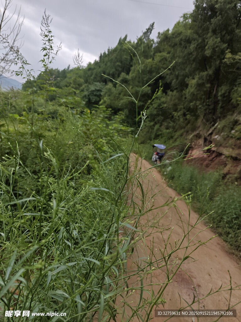 鄉(xiāng)間泥濘小路 