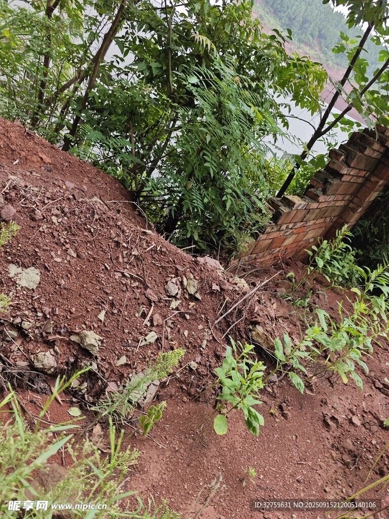 山坡上的泥土與綠植