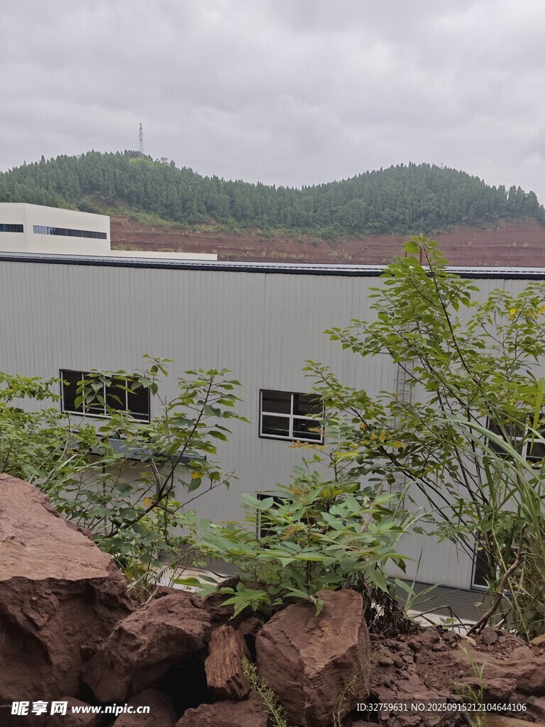 工廠外的綠植與巖石景觀