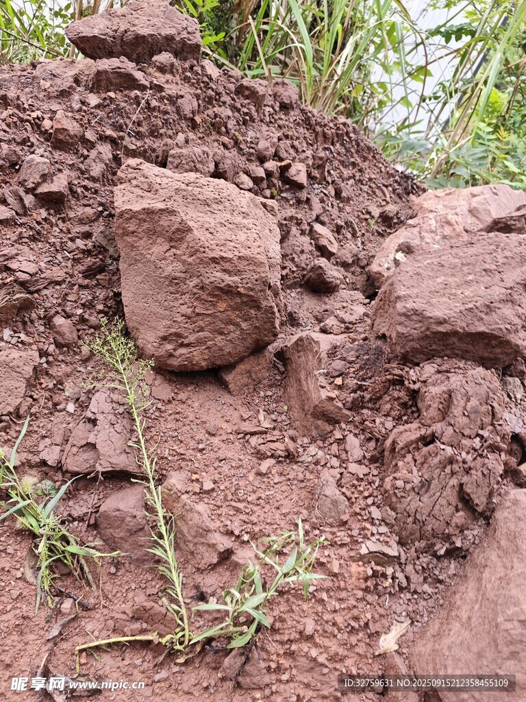 土坡上的石塊與雜草