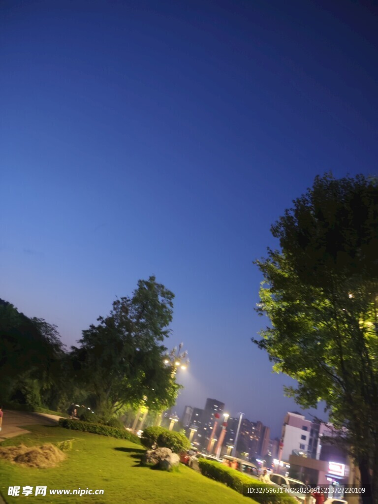夜幕下的城市綠地景觀