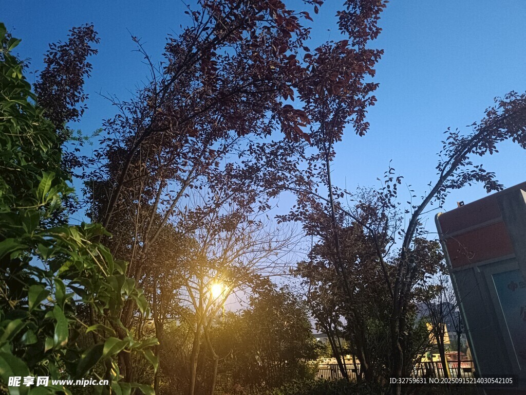 夕陽(yáng)下的樹(shù)木與建筑景觀