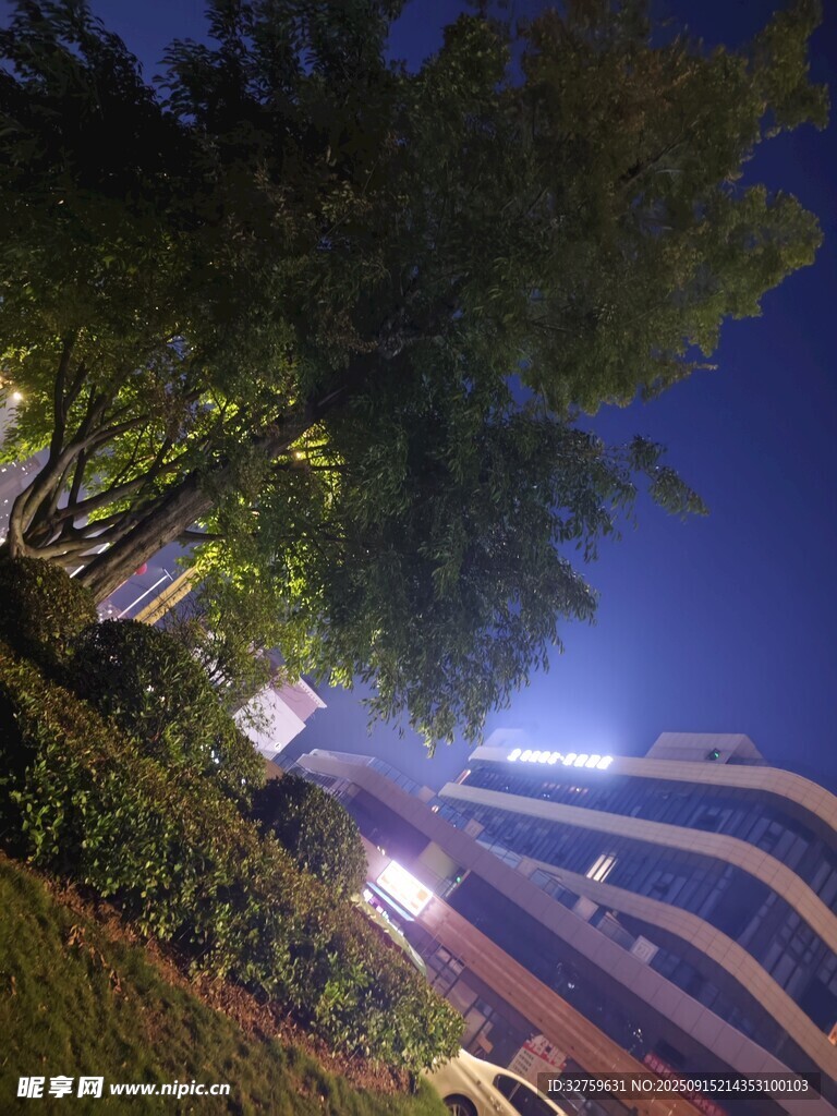 夜幕下的城市建筑與綠植