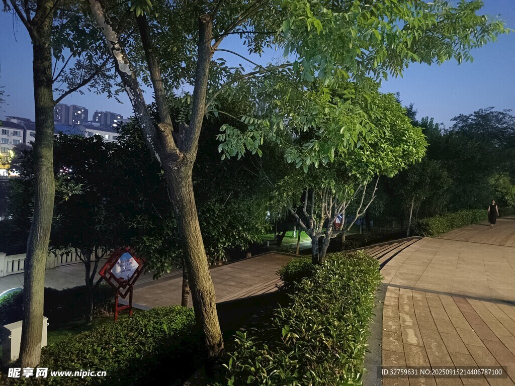 公園綠意盎然的林蔭小道