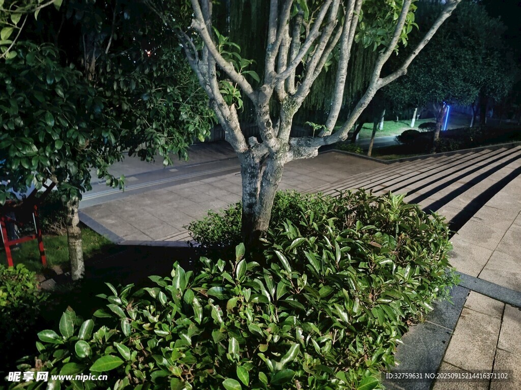 庭院綠植景觀一角