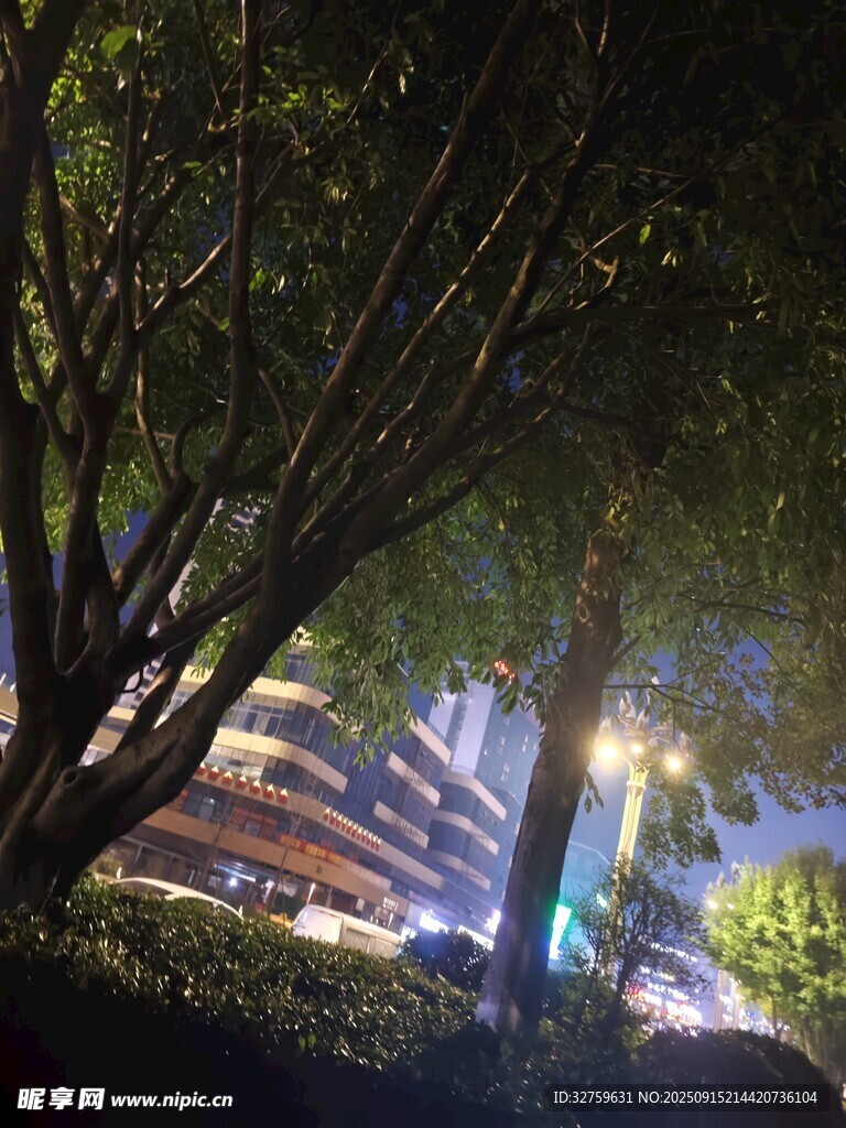 夜晚樹影下的城市建筑景觀