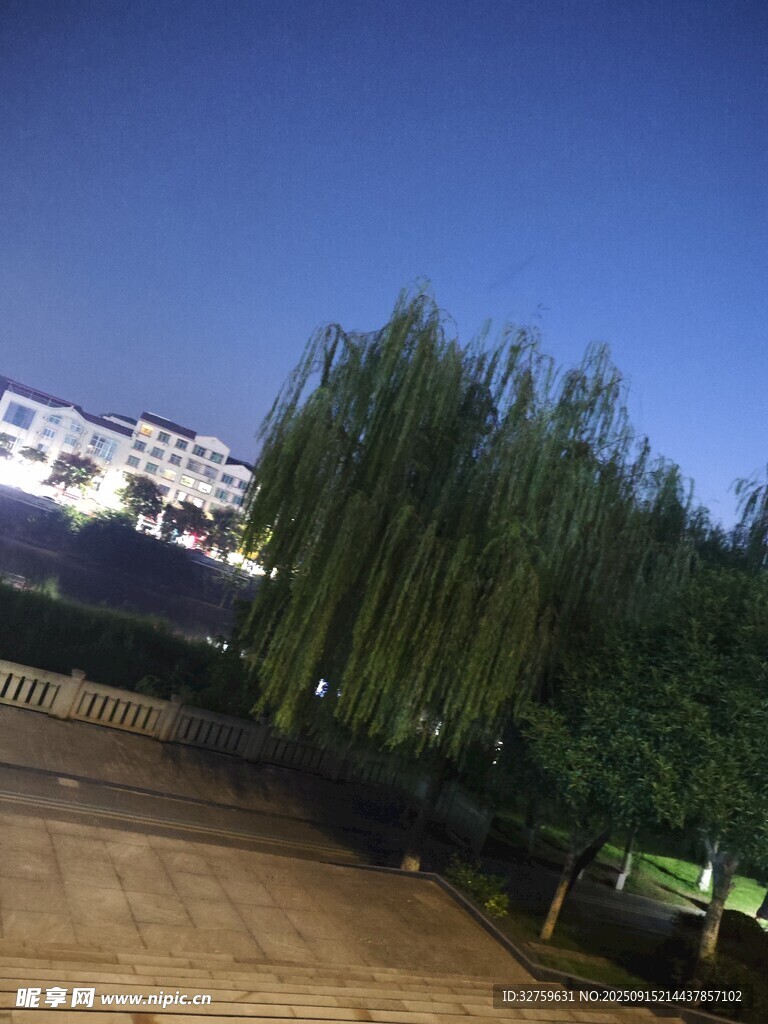 夜幕下的垂柳與建筑景觀