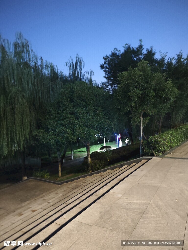 鐵軌旁的綠樹與開闊景致
