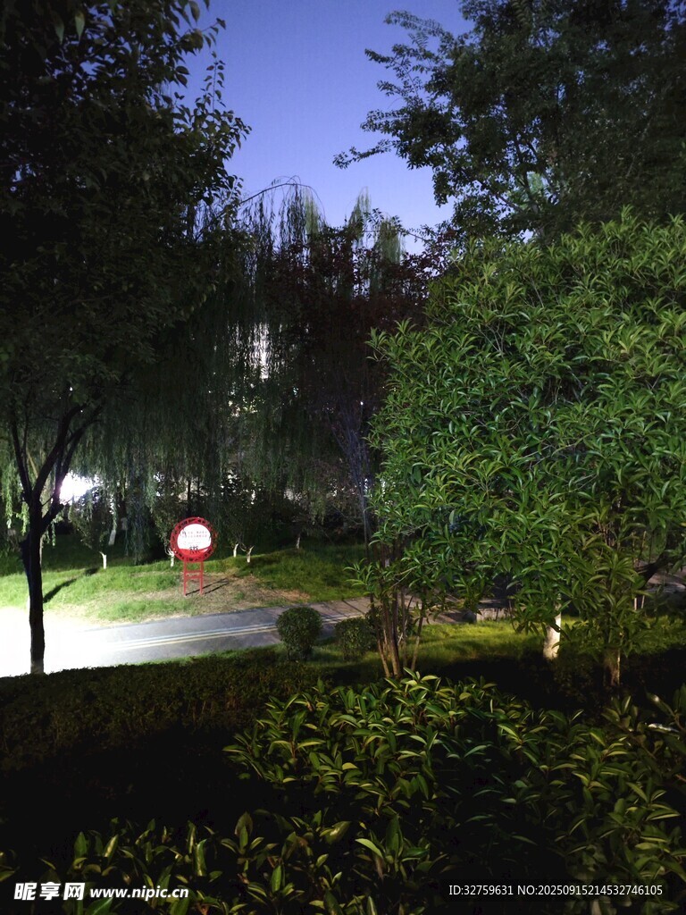 夜晚靜謐的園林景致