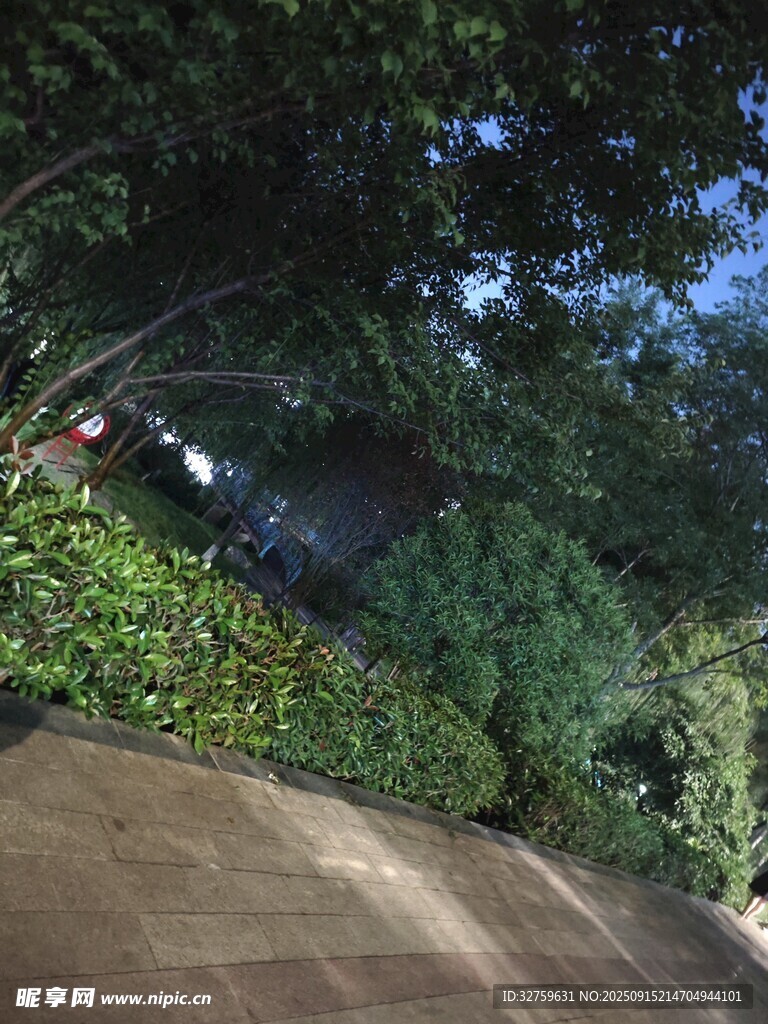 林蔭下的靜謐小道