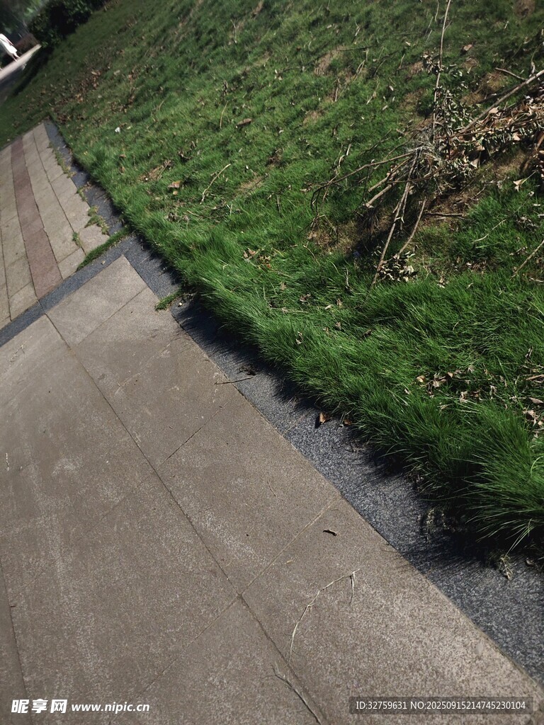 路邊草地與積水場景