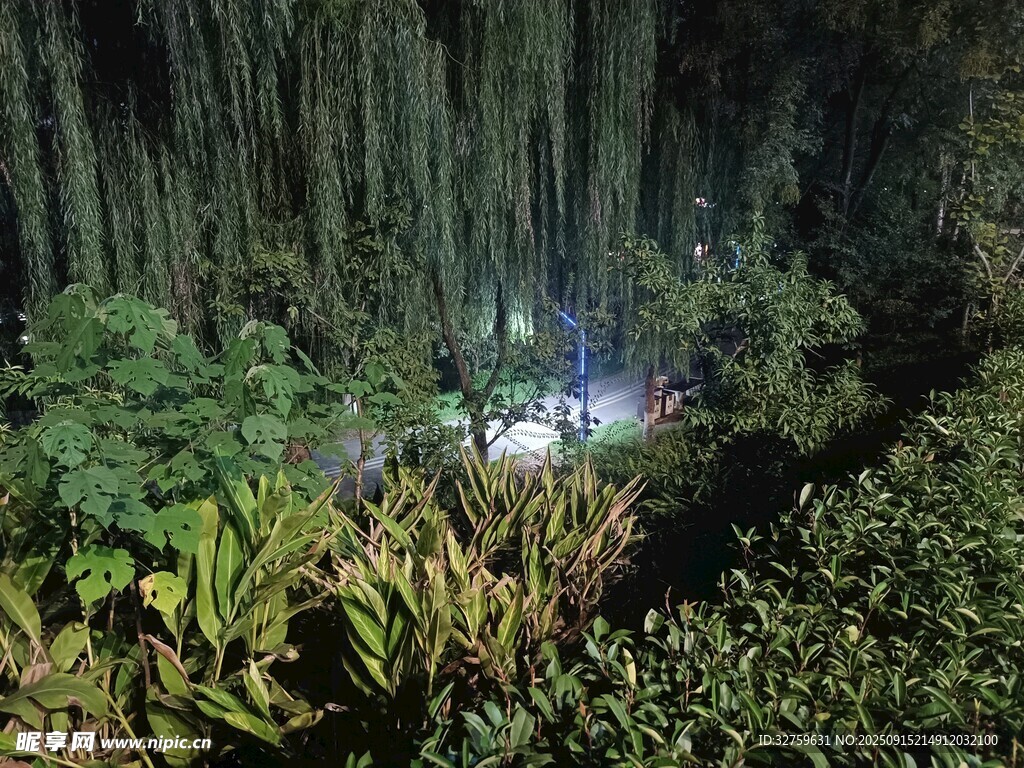 夜晚叢林中的露營(yíng)場(chǎng)景