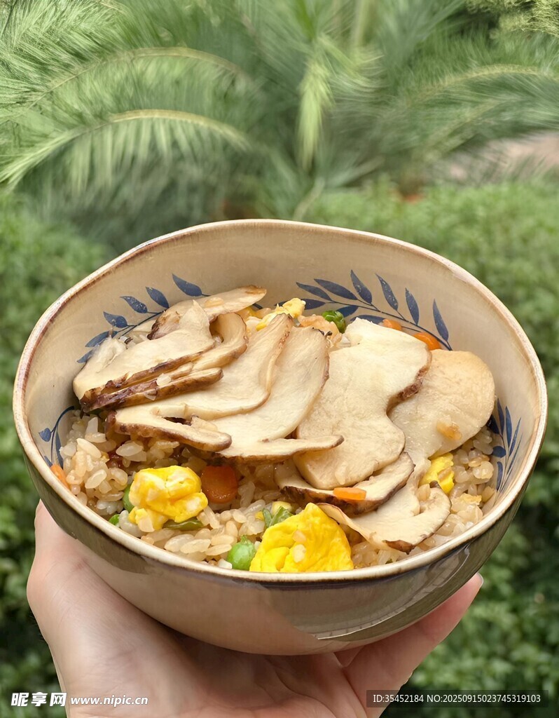 雞肉蔬菜蓋飯