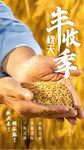 豐收季