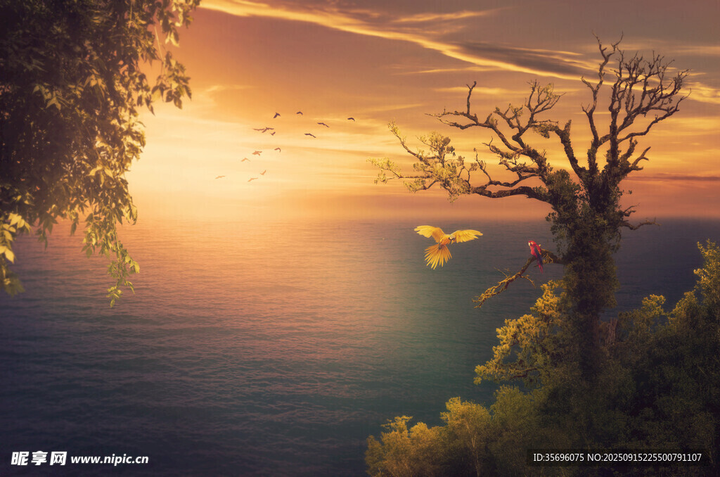 夕陽下的孤樹與壯闊海景