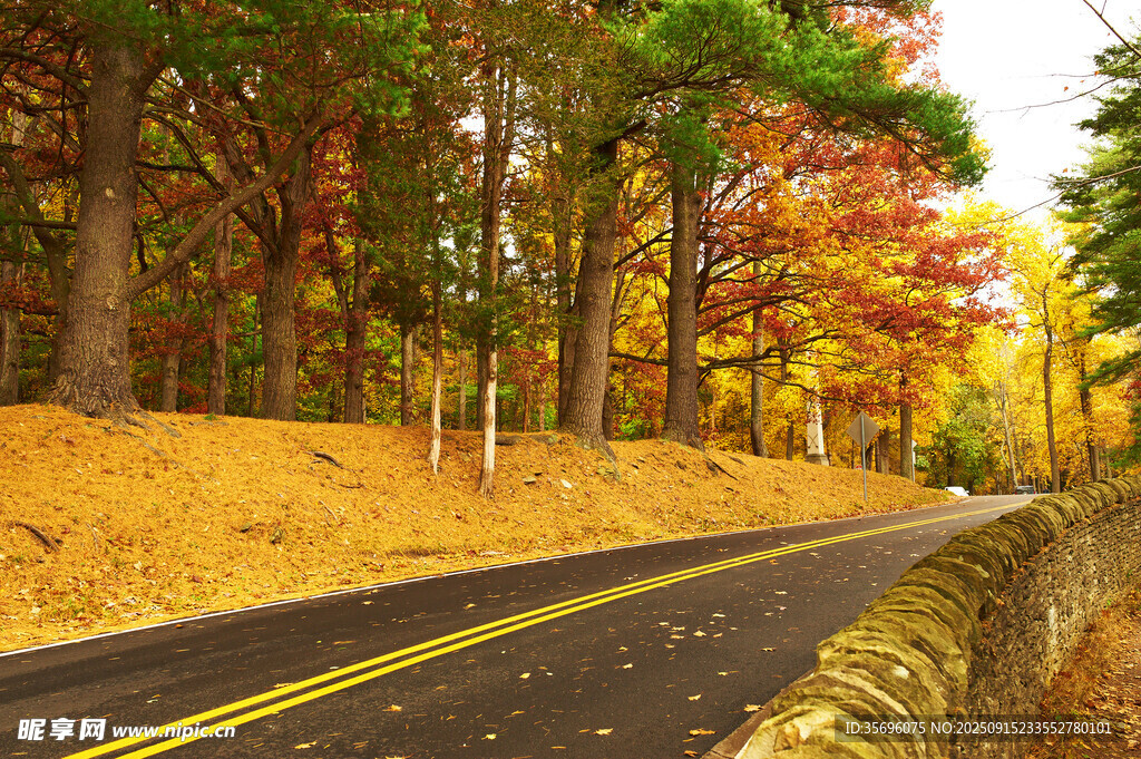 秋日林間公路美景